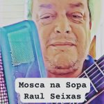 Mosca na Sopa – Raul Seixas